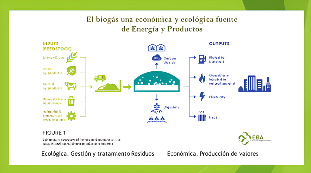 El biogás como la Esencia de la Sostenibilidad.